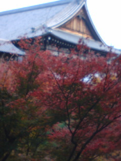 101129_1546~03.jpg