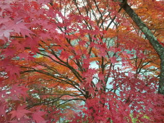 SH3D02180003.jpg