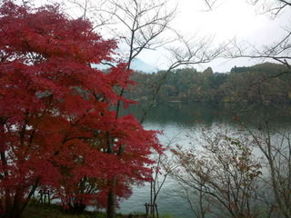 SH3D02190001.jpg