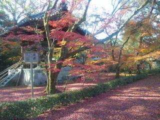 SH3D0230.jpg