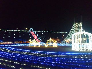 SH3D0258.jpg