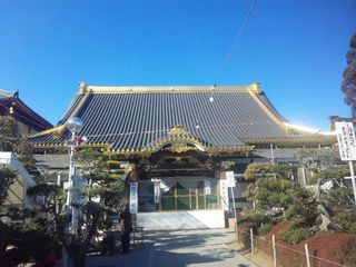 SH3D0308.jpg