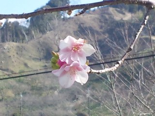 SH3D0326.jpg
