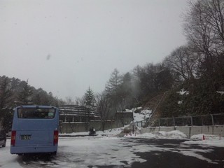 SH3D0331.jpg