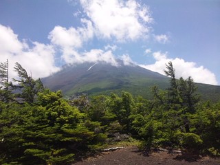 SH3D0572.jpg