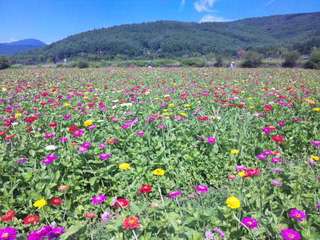 SH3D0578.jpg