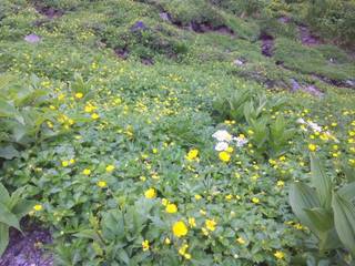 SH3D0582.jpg