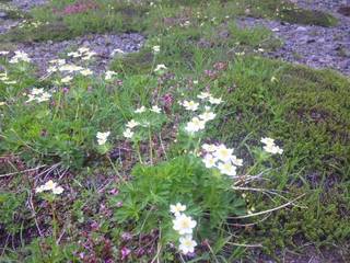 SH3D0587.jpg