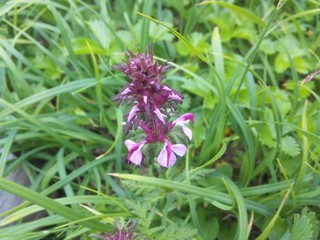 SH3D0590.jpg