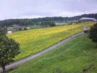SH3D0604.jpg