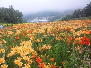 SH3D0606.jpg