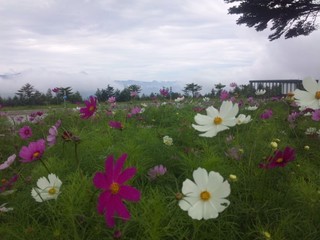 SH3D0607.jpg